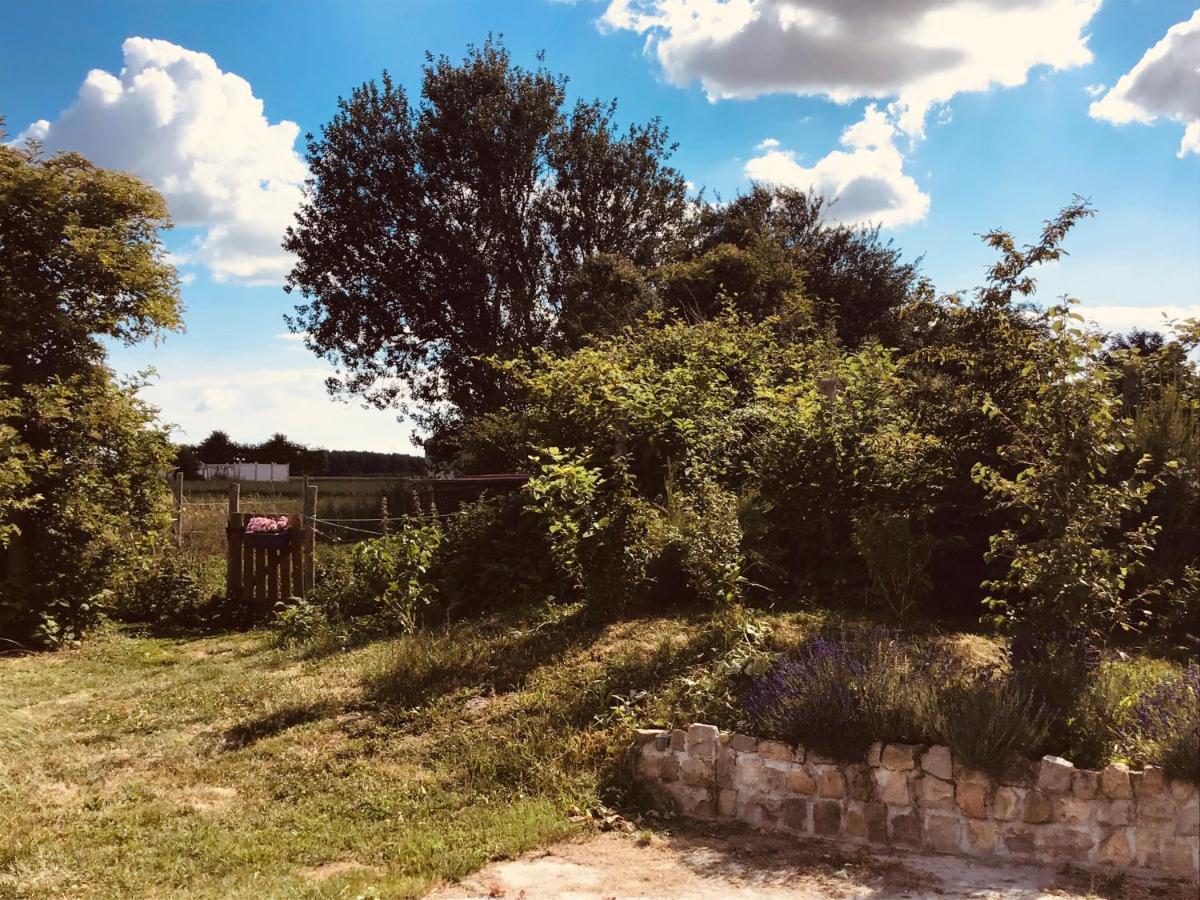 Le Chalet De La Ferme Du Tertre Villers-au-Tertre Bilik gambar