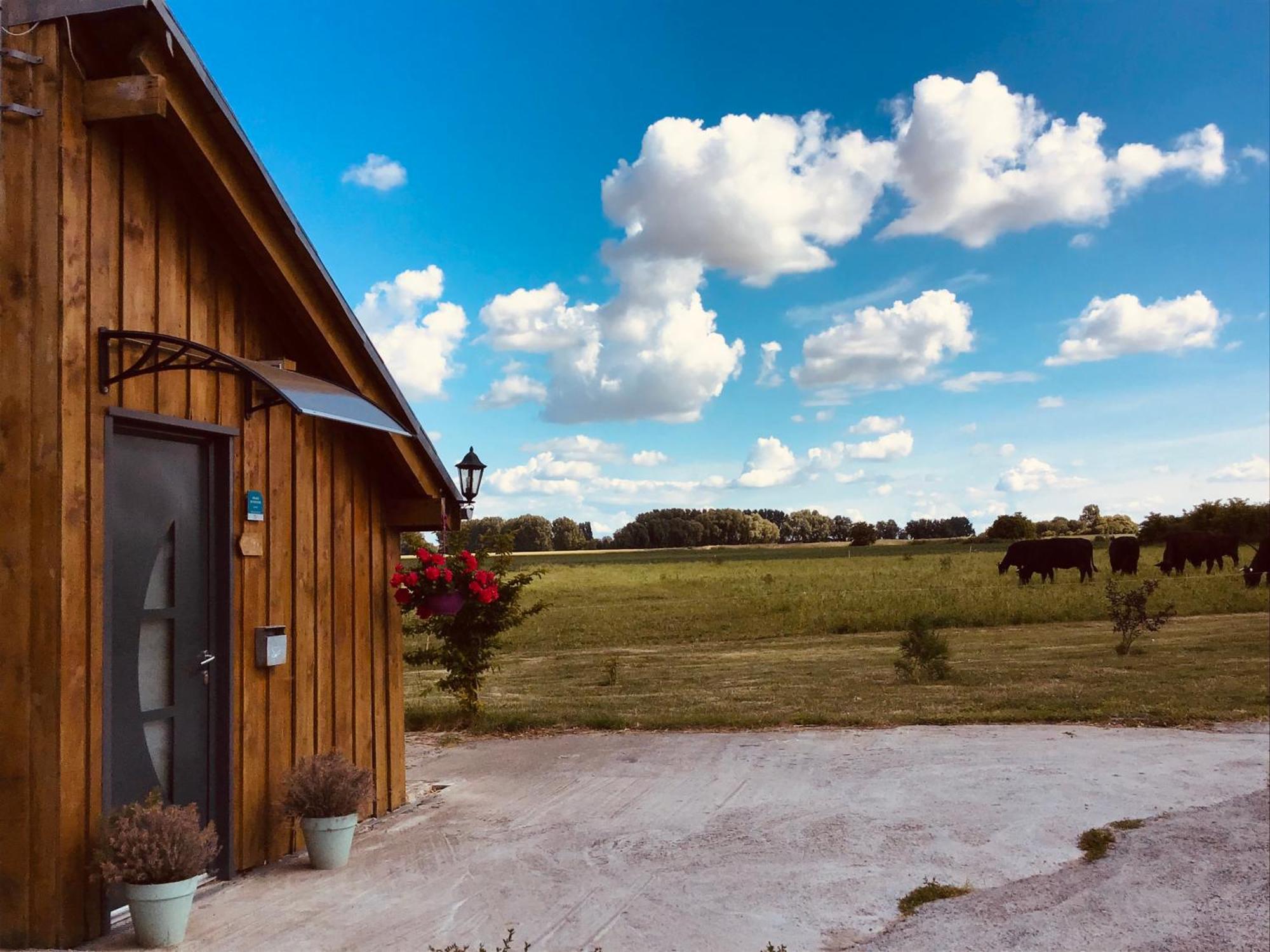 Le Chalet De La Ferme Du Tertre Villers-au-Tertre Bilik gambar